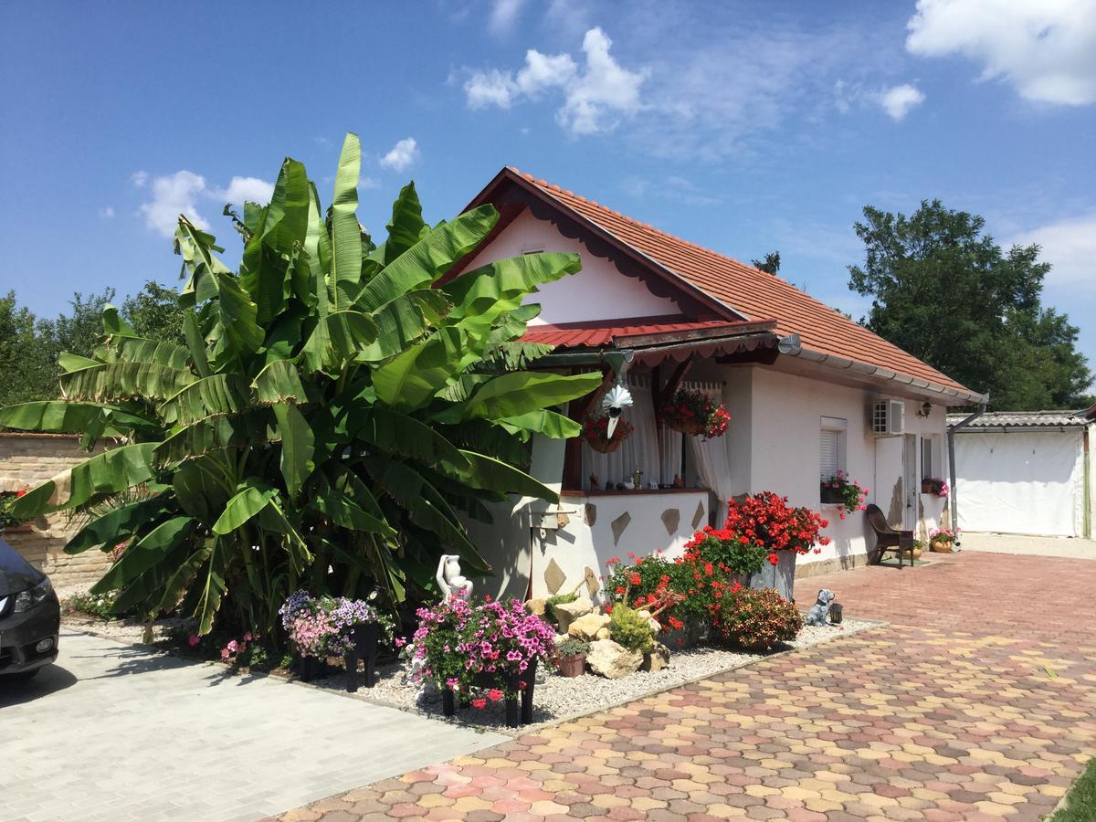 Jarmila Vendeghaz Hotel Balatonbereny Ngoại thất bức ảnh